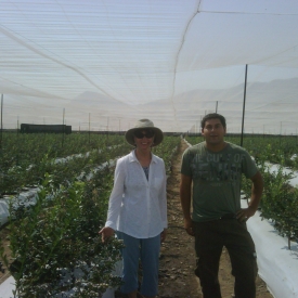  media card img01614-20110315-10461