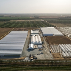 Aerea 02 from entrance