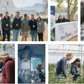 Za grower day photo collage