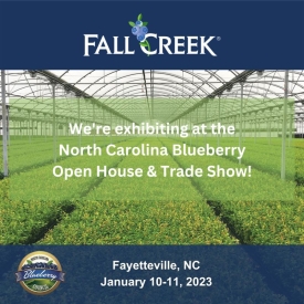 Nc blueberry open house