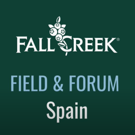 Field   forum spain