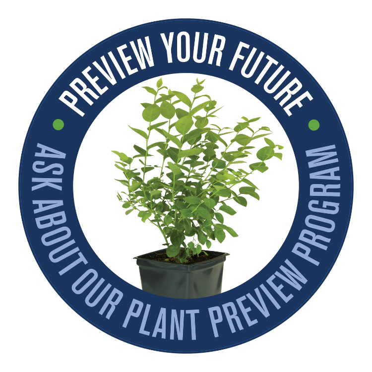 Preview Plant Program