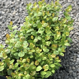 Photo aug 28, 9 48 37 am