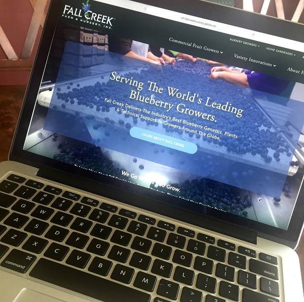 Laptop with Fall Creek's new website on the screen